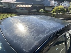 天井はクリアハゲあり